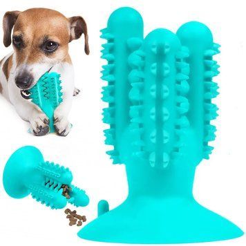 Іграшка для собак Кактус на присосці PetFun Denta / Жувальна іграшка для чищення зубів собак 234570914 фото