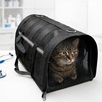 Сумка-переноска 49&times;25&times;28 L для домашніх тварин For Friends, Чорний / Переноска для собак / Сумка для котів 234583769 фото